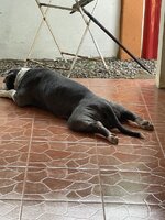 IMG_5899.jpeg