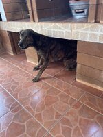 IMG_5900.jpeg