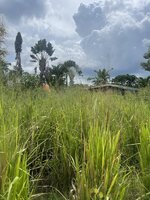 IMG_5918.jpeg