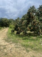 IMG_5922.jpeg