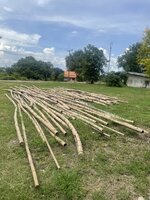 IMG_5931.jpeg