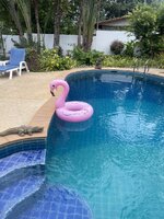 IMG_5941.jpeg