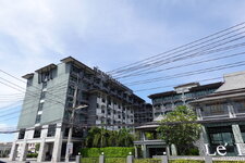 DSC05990.JPG