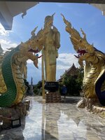 IMG_6019.jpeg