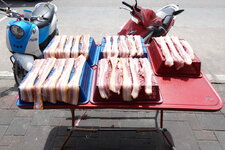 DSC05983.JPG