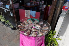 DSC05984.JPG