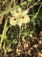 IMG_3958.jpeg