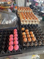 IMG_6040.jpeg