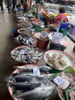 IMG_6041.jpeg