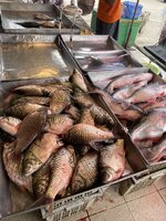 IMG_6042.jpeg
