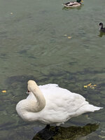 Image1180.jpg