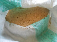 DSCN3373.JPG