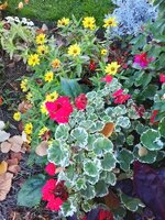 2024 Pattaya 117.jpg