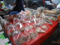 DSCN3196.JPG