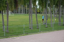 DSC06061.JPG