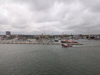 PXL_20251012_065224270.jpg