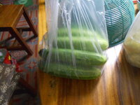 DSCN3305.JPG