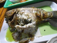 DSCN3325.JPG