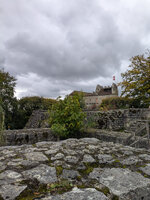 Image1219.jpg