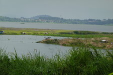 DSC06080.JPG