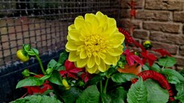 20251010_134840.jpg