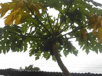 DSCN3119.JPG