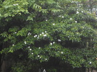 DSCN3127.JPG