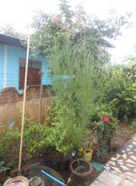 DSCN3122~2.JPG