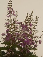 DSCN2860~2.JPG
