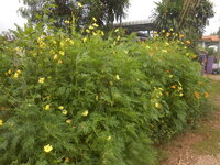 DSCN2857.JPG