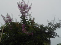 DSCN2858.JPG
