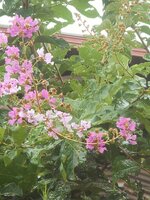 DSCN2862~2.JPG