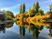 IMG-20251013-WA0009~2.jpg IMG-20251013-WA0009~2.jpg