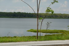 DSC06032.JPG