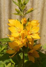DSCN3791~2.JPG