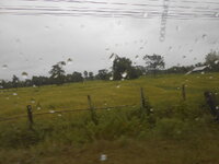 DSCN3418.JPG