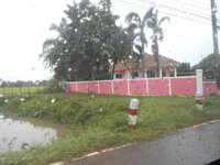 DSCN3416.JPG