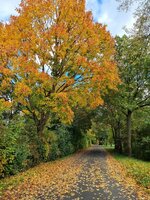 20251014_141908.jpg 20251014_141908.jpg