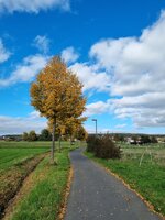 20251014_142958.jpg 20251014_142958.jpg