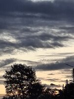 20251015_060217.jpg