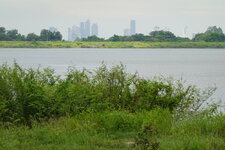 DSC06044.JPG