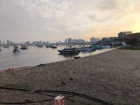 IMG_20250314_064509.jpg