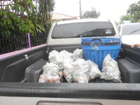 DSCN3396.JPG