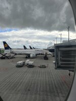 IMG_8549.jpeg