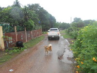 DSCN3398.JPG