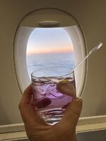 IMG_8595.jpeg