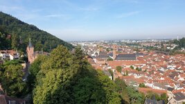 20210812_090741.jpg 20210812_090741.jpg