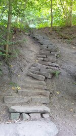 20210812_094201.jpg 20210812_094201.jpg