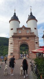 20210811_184043.jpg 20210811_184043.jpg