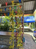 IMG_8678.jpeg